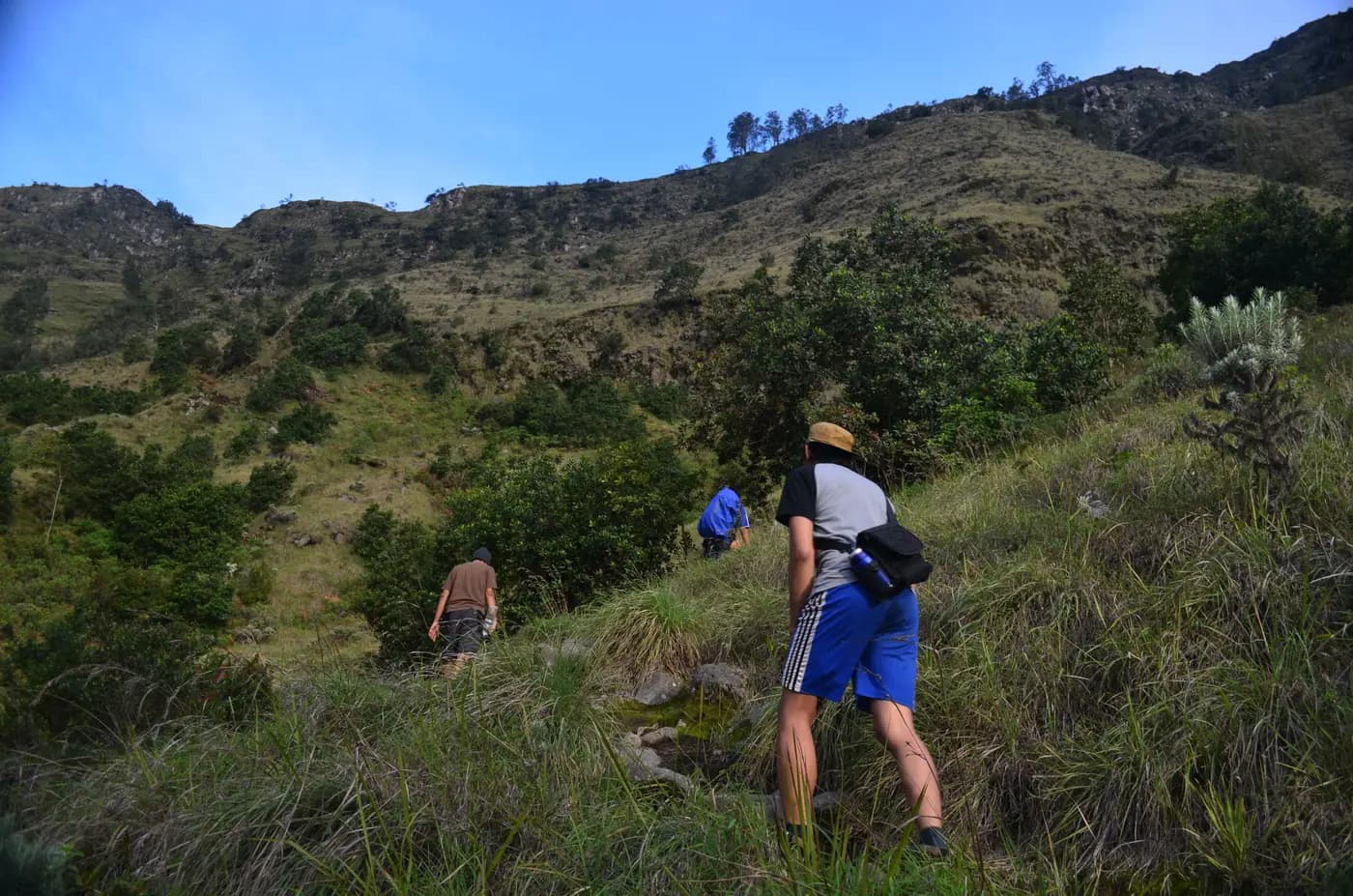 Tiga pendaki menanjak jalur berumput dari Danau Segara Anak menuju Plawangan Sembalun di Taman Nasional Gunung Rinjani