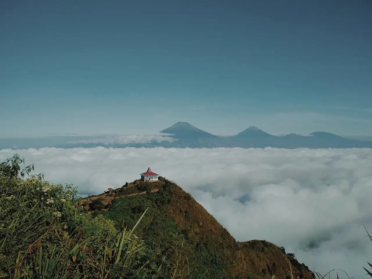 Punggungan puncak Gunung Andong dengan bangunan beratap merah di atas lautan awan