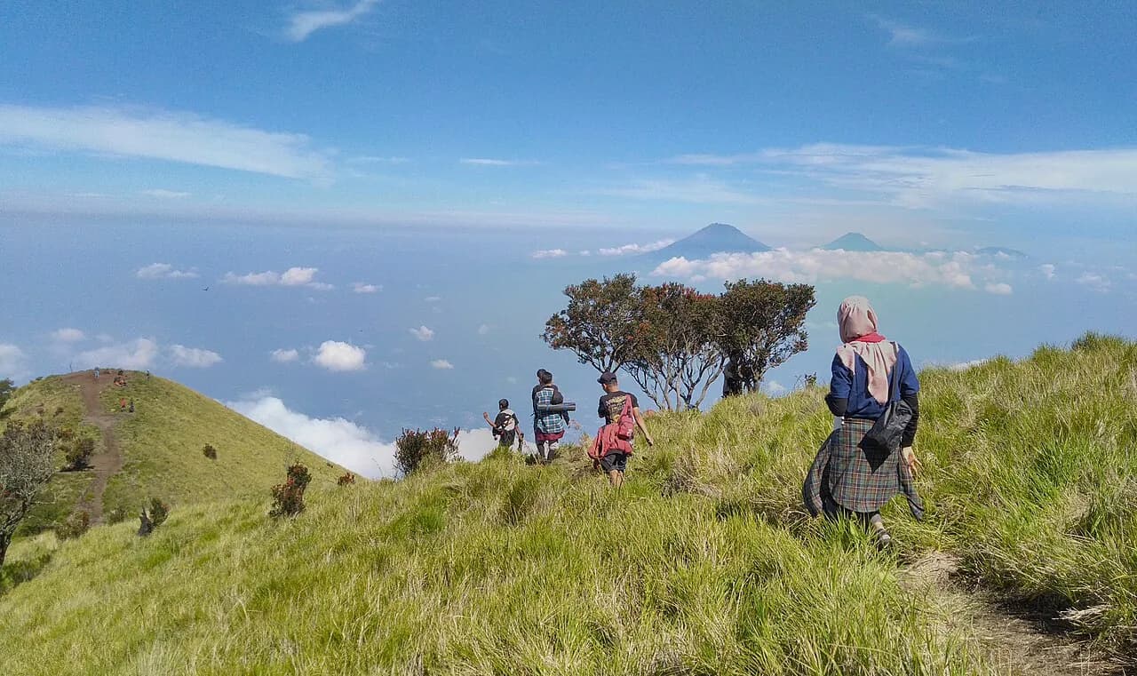 Pendaki berjalan menuruni punggungan berumput di sabana jalur Suwanting Gunung Merbabu dengan lautan awan di bawahnya