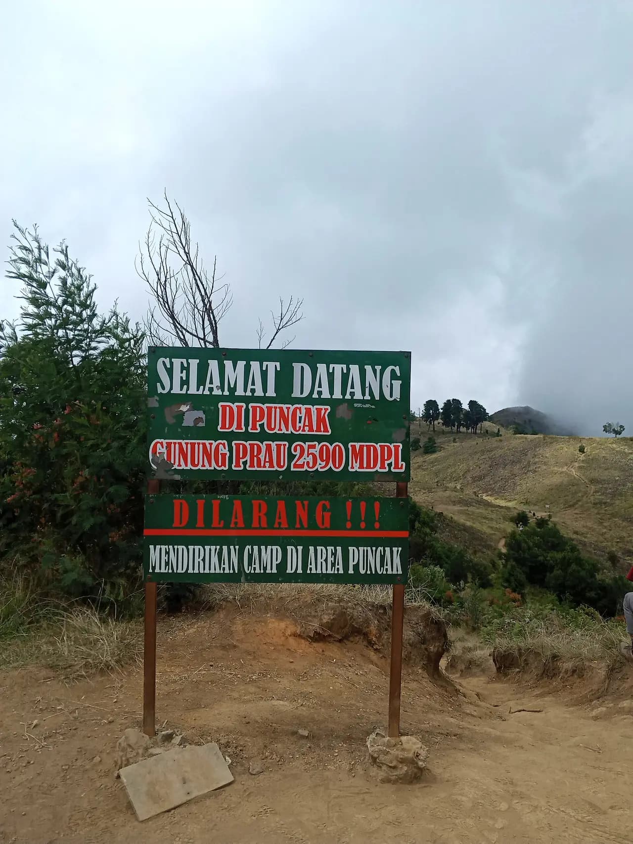 Papan hijau Selamat Datang di Puncak Gunung Prau 2590 mdpl dengan larangan mendirikan camp di area puncak