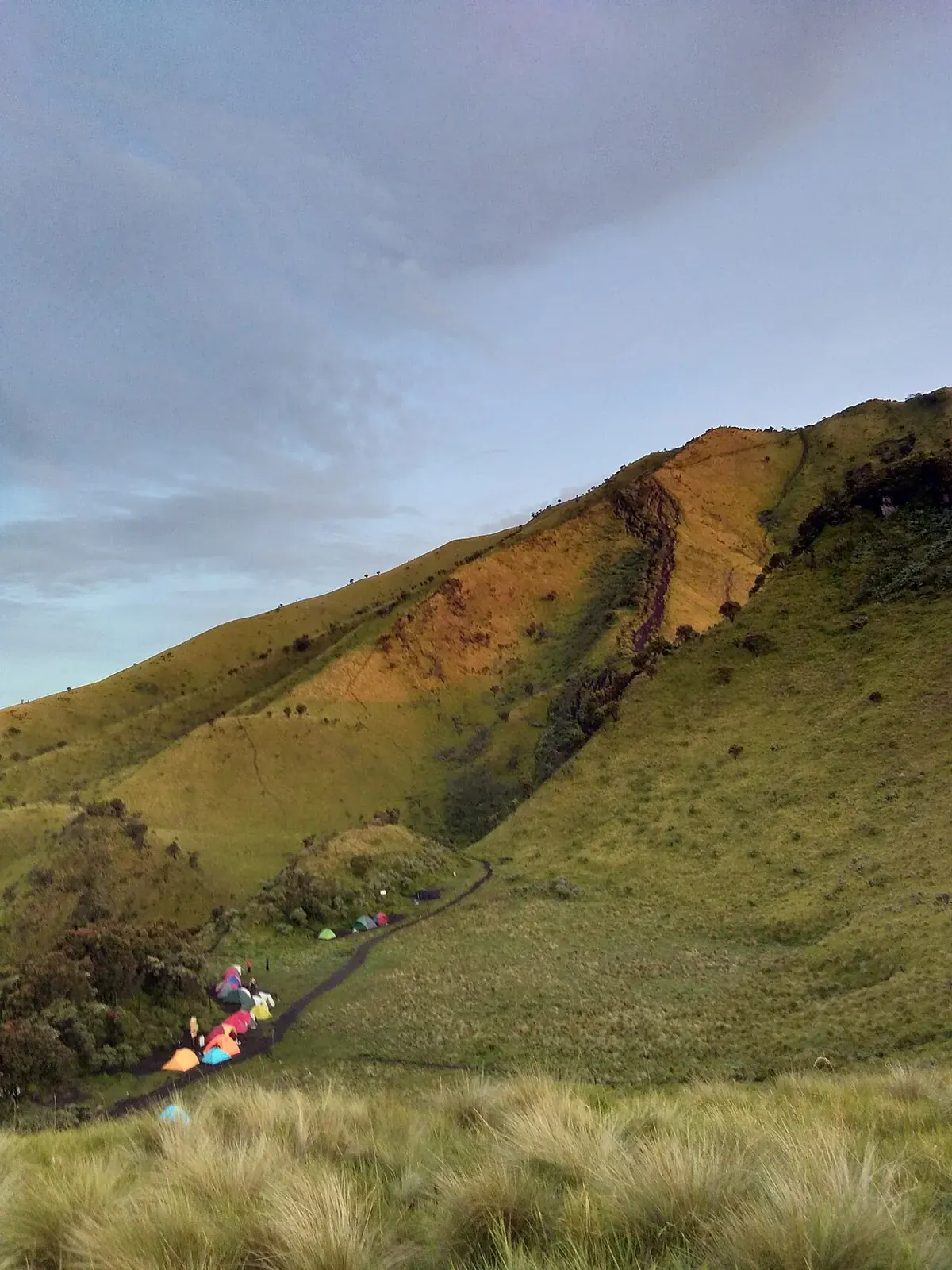 Deretan tenda warna-warni di area kemah lembah berumput Gunung Merbabu, di samping jalur setapak, dengan lereng sabana di belakangnya