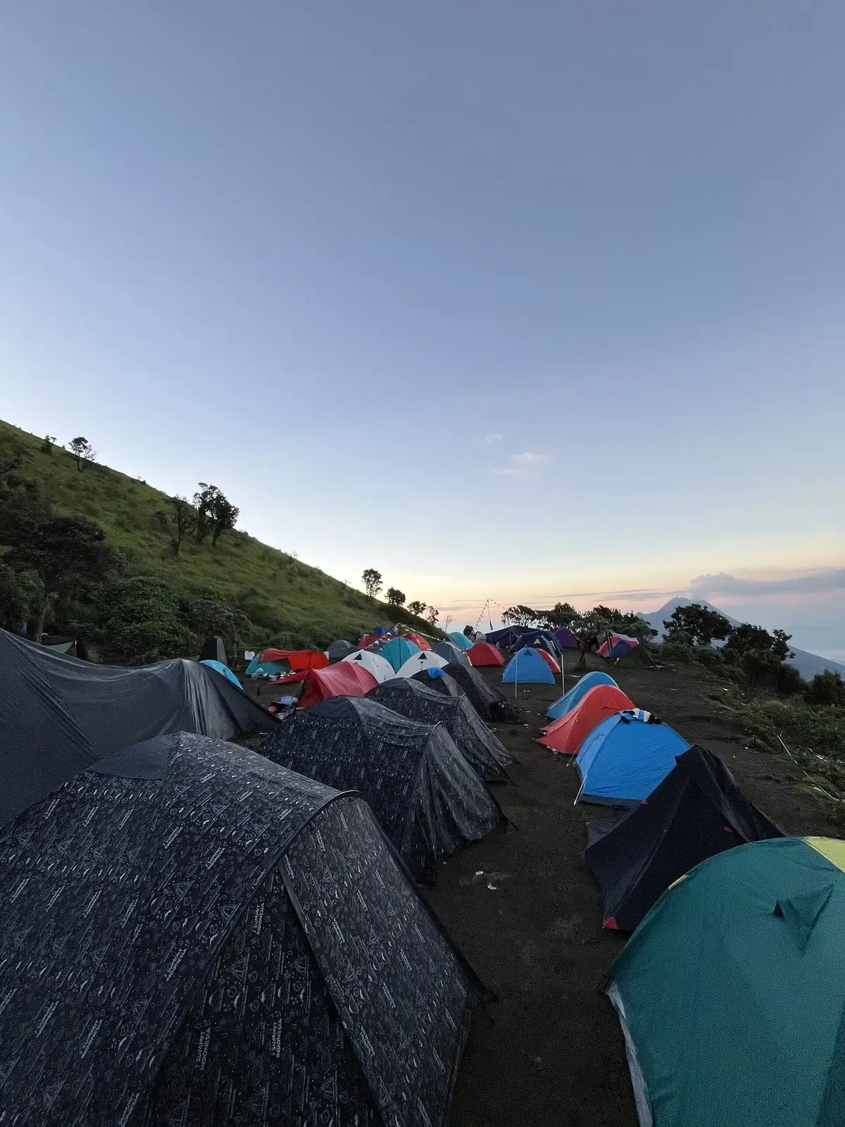 Deretan tenda dome berbagai warna berdiri berjajar di area perkemahan Gunung Merbabu pada pagi hari, dengan lereng berumput di sisi kiri