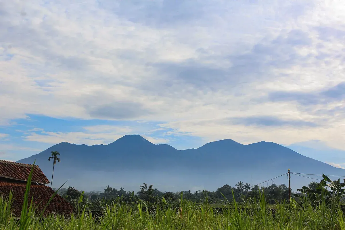 Gunung Gede dan Gunung Pangrango dilihat dari Karangtengah, Cibadak, Sukabumi, dengan sawah di depan