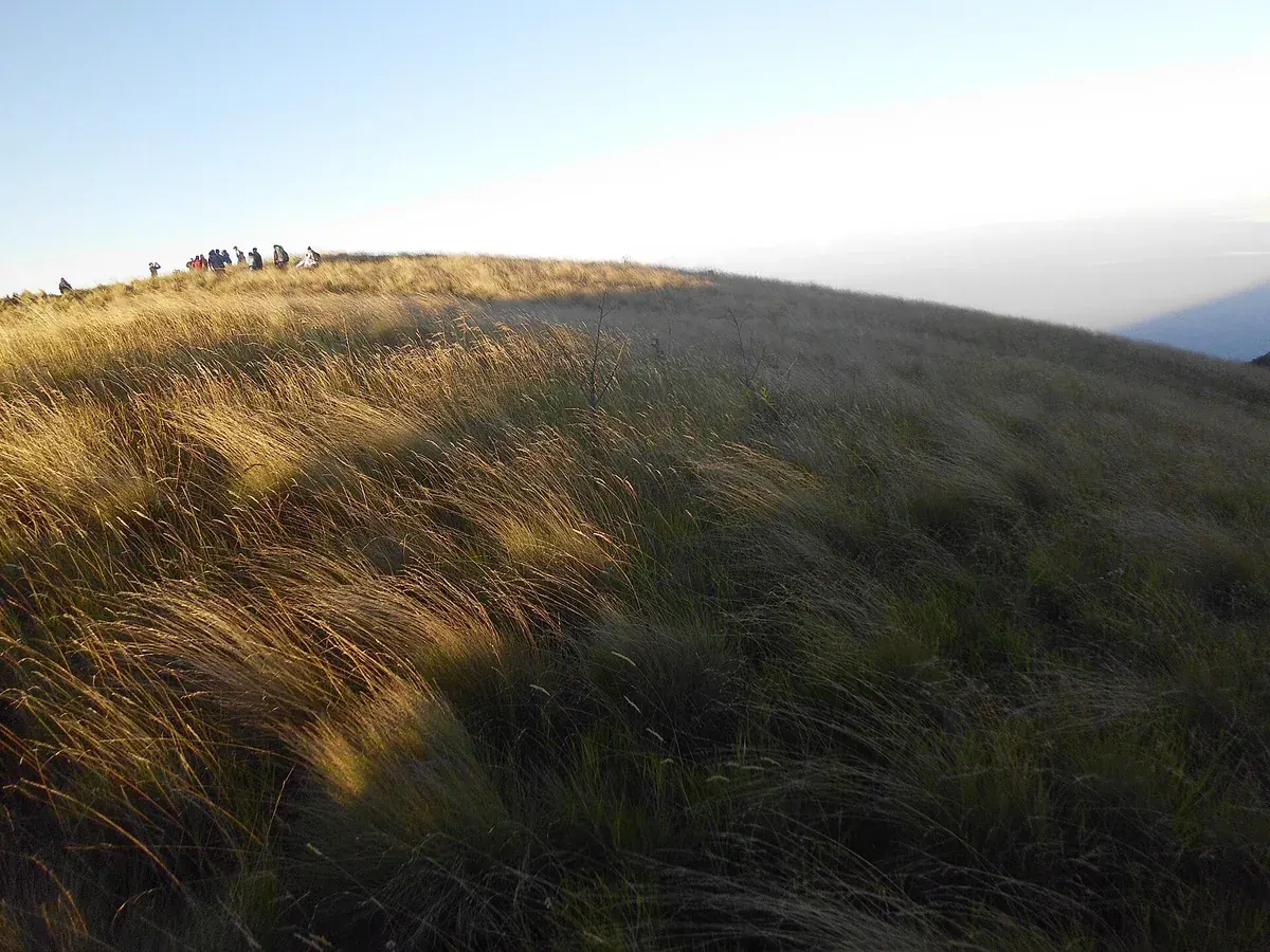 Rombongan pendaki berdiri di punggungan padang rumput Gunung Merbabu pada pagi hari
