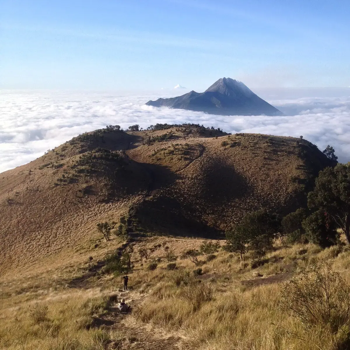 Padang sabana terbuka di jalur pendakian Selo Gunung Merbabu dengan dua pendaki kecil dan kerucut Gunung Merapi di atas lautan awan