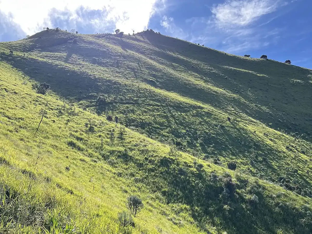 Lereng padang rumput yang curam di jalur pendakian Gunung Merbabu di bawah langit biru