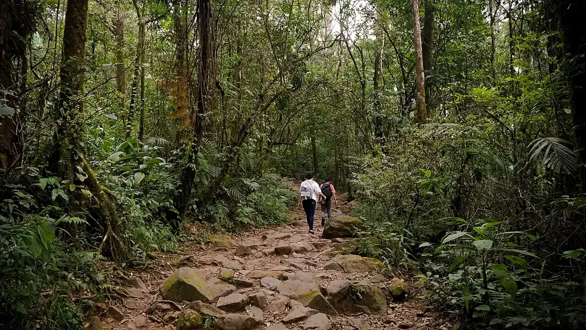 Dua pendaki berjalan di jalur berbatu di tengah hutan Taman Nasional Gunung Gede Pangrango