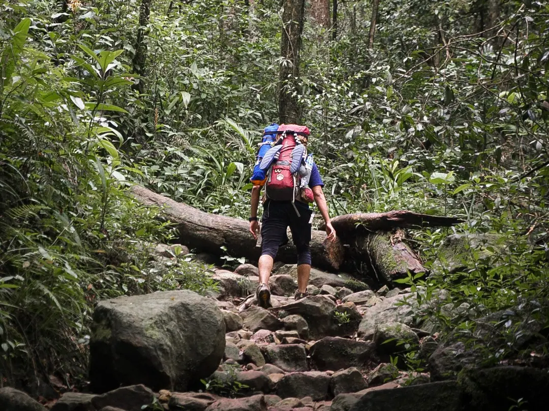 Seorang pendaki dengan ransel besar berjalan sendirian menapaki jalur berbatu di tengah hutan