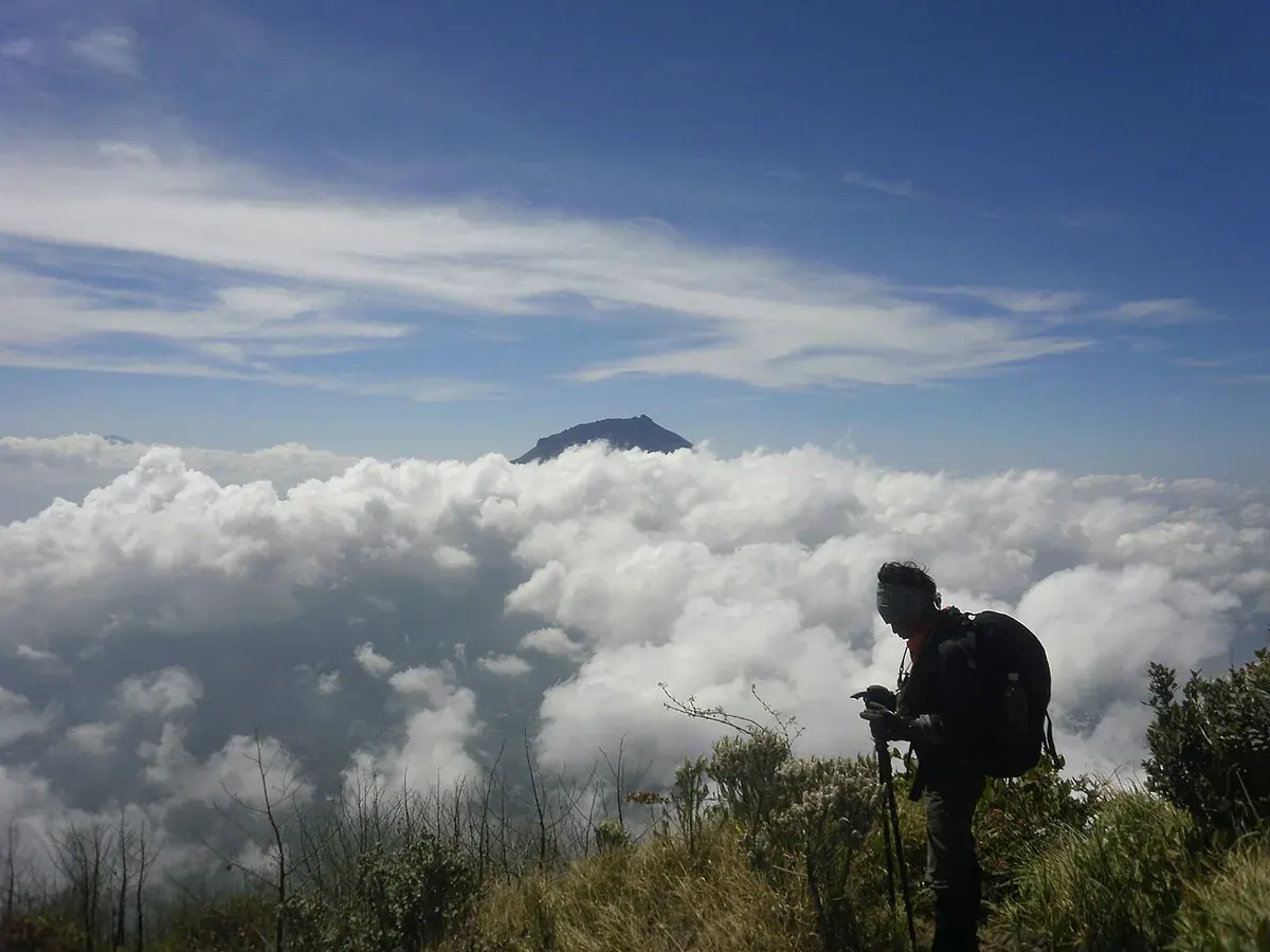 Pendaki membawa ransel dan tongkat berdiri di punggungan Gunung Sindoro dengan lautan awan dan puncak gunung lain di kejauhan